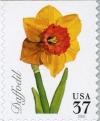 Colnect-202-343-Daffodil.jpg