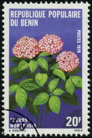 Colnect-2571-443-Hortensia.jpg