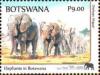 Colnect-5504-645-Elephants.jpg
