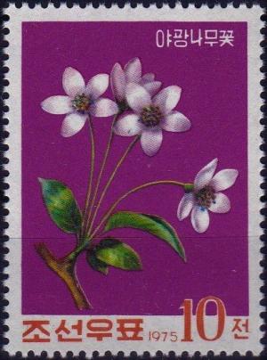 Colnect-3862-746-Wild-apple.jpg