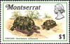 Colnect-6193-478-Tortoise.jpg