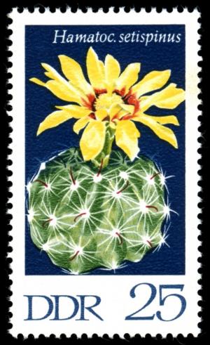 Colnect-1978-344-Sting-cactus.jpg