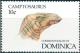 Colnect-2298-734-Camptosaurus.jpg