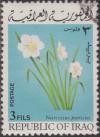 Colnect-1506-579-Daffodil.jpg