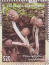 Colnect-6055-958-Mushrooms.jpg