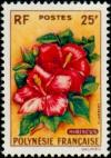 Colnect-1011-592-Hibiscus.jpg