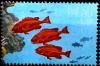 Colnect-5880-075-Red-Snapper.jpg