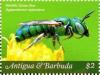 Colnect-6435-156-Bee.jpg
