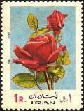Colnect-1883-765-Rosa-hybris.jpg
