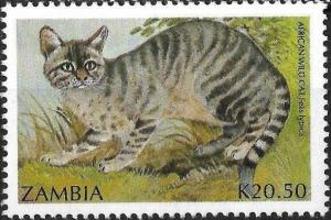 Colnect-4242-365-Felis-lybica.jpg