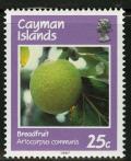 Colnect-1681-064-Breadfruit.jpg