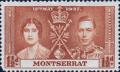 Colnect-3534-164-Coronation.jpg