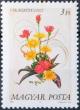Colnect-605-640-Flowers.jpg