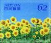 Colnect-5248-665-Sunflowers.jpg