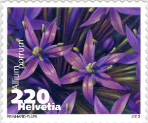 Colnect-5172-566-Bot-flower.jpg