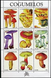 Colnect-1045-967-Mushrooms.jpg