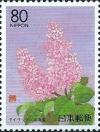 Colnect-2179-269-Pink-Lilac.jpg