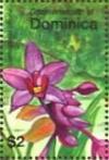 Colnect-3277-696-Orchids.jpg