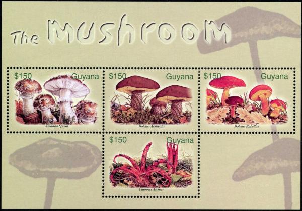 Colnect-3137-569-Mushrooms.jpg