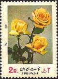 Colnect-1883-766-Rosa-hybris.jpg