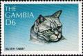 Colnect-4725-276-Silver-tabby.jpg