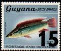 Colnect-4734-746-Pike-Cichlid.jpg