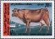 Colnect-1506-162-Cow.jpg
