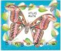 Colnect-5056-671-Atlas-Moth.jpg