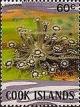 Colnect-2221-730-Gonipora.jpg