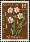 Colnect-4422-178-Narcissus.jpg