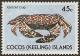 Colnect-3090-327-Xanthid-Crab.jpg