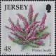 Colnect-4439-825-Heather.jpg