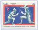 Colnect-2510-885-Fencing.jpg