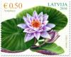 Colnect-3294-389-Water-Lily.jpg