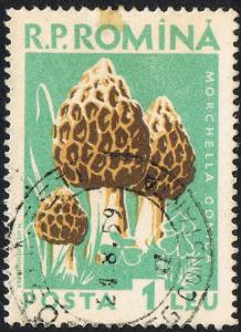 Posta_Romana_-_1958_-_mushroom_1LEU.jpg