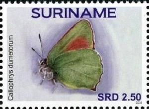 Colnect-4204-538-Butterflies.jpg