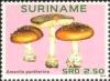 Colnect-4220-892-Mushrooms.jpg
