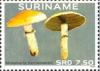 Colnect-4220-895-Mushrooms.jpg
