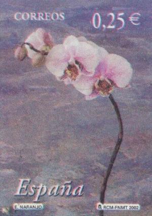 Colnect-182-965-Flowers.jpg