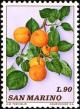 Colnect-1685-962-Apricots.jpg
