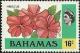 Colnect-3272-976-Hibiscus.jpg