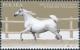Colnect-4840-978-Pilarka.jpg
