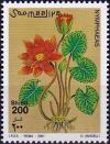 Colnect-4311-985-Nymphaea.jpg