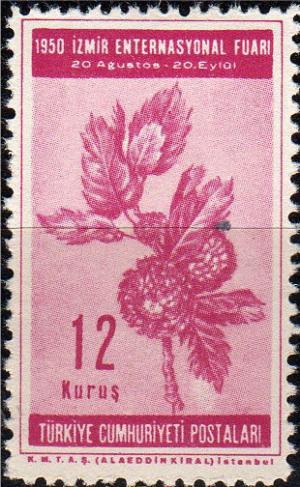 Colnect-720-997-Acorns.jpg