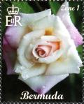 Colnect-2789-098-Rose.jpg