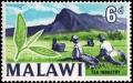 Colnect-3095-439-Tea-industry.jpg