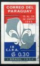 Colnect-4926-369-Brasil-1954.jpg