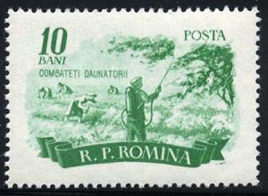 Skap-romania_03_pest.jpg