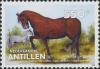 Colnect-1016-618-Hanoverian-and-Arabian-Horse-Equus-ferus-caballus.jpg