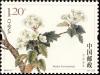 Colnect-4822-128-Honan-Crabapple-Malus-honanensis.jpg